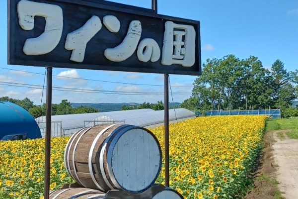 旅の宿 ワインの国